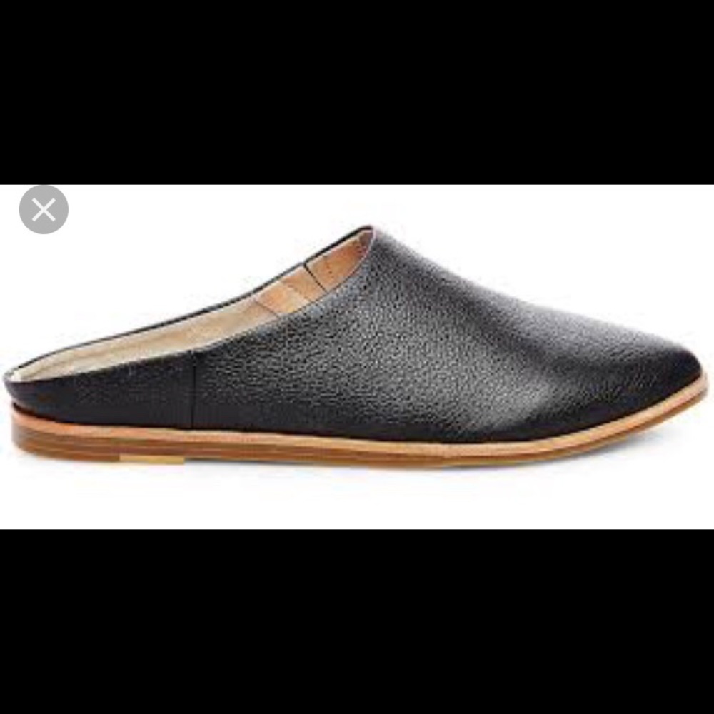 Steve Madden Zeke mules